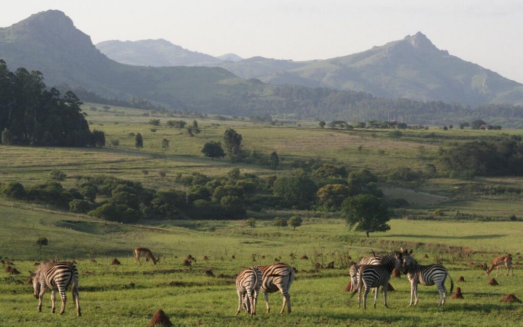 Mlilwane Game Sanctuary Essuatini - African Reservations