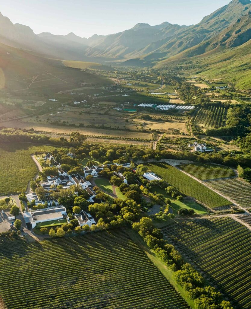 Spier Wine Farm Stellenbosch Cape Winelands - Spier Wine Farm