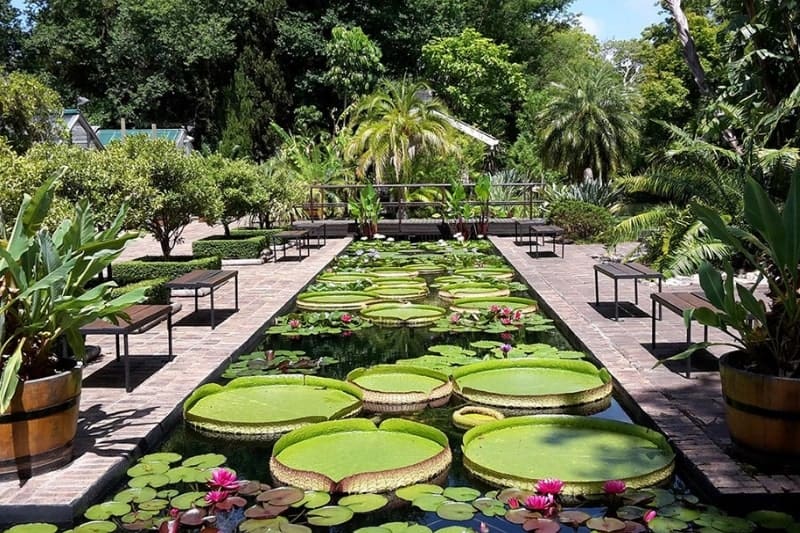 Stellenbosch University Botanical Garden - Lanzerac Wine Estate