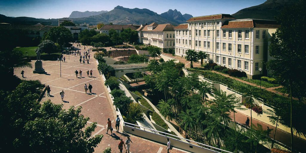 Stellenbosch University - Daily Maverick