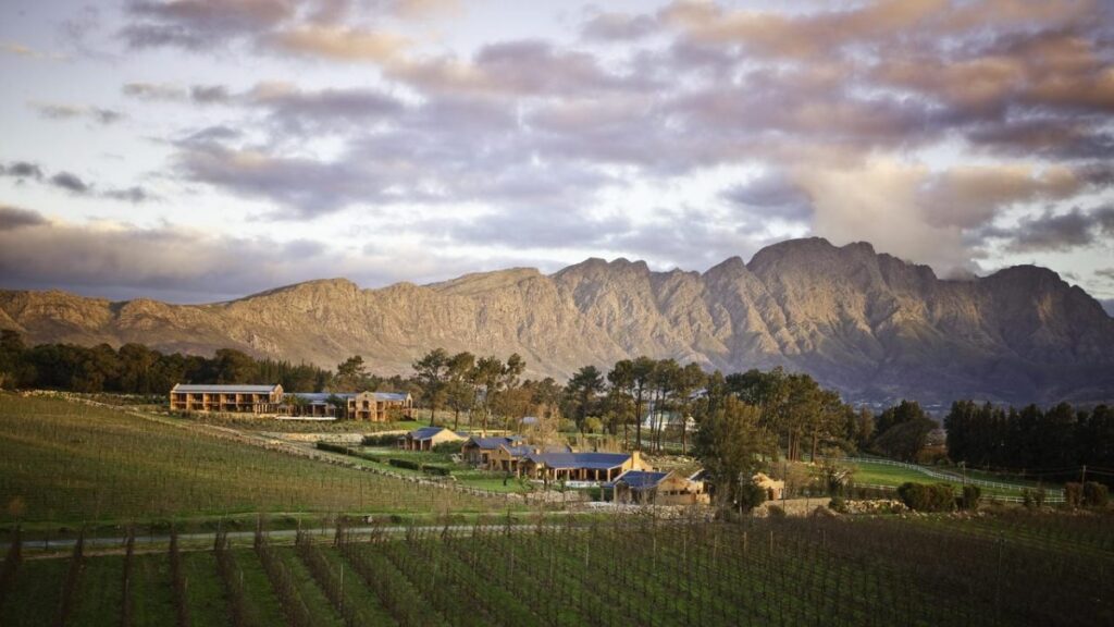 Stellenbosch ou Franschoek: o que visitar em Cape Winelands - Cedarberg-Travel.com