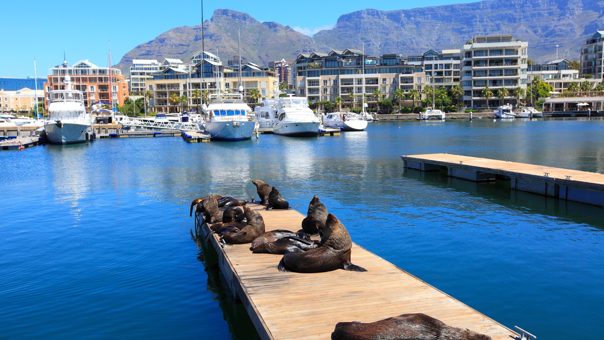 V&A Waterfront Cidade do Cabo - Into Tours