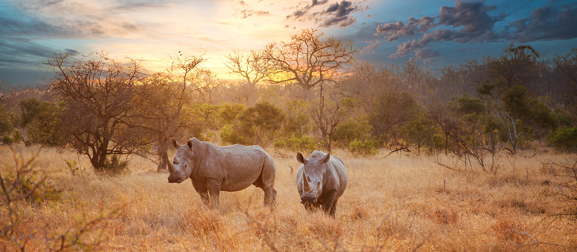 Kruger National Park - National Geographic