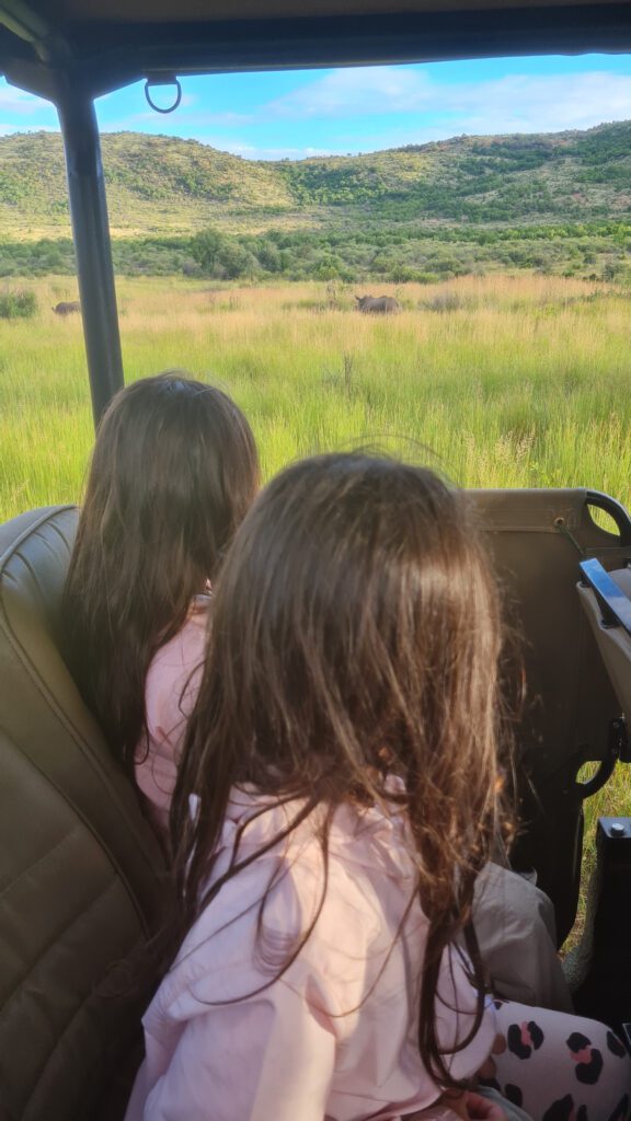 Nosso safari em Pilanesberg - Magu Mathias