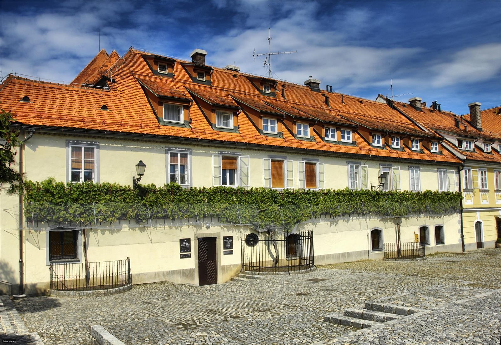 Old Vine House Maribor Eslovenia - Arrival Guides