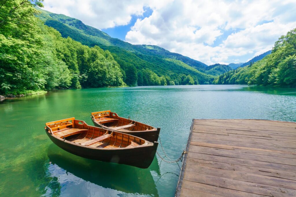Parque nacional Biogradska Gora - Visit Montenegro