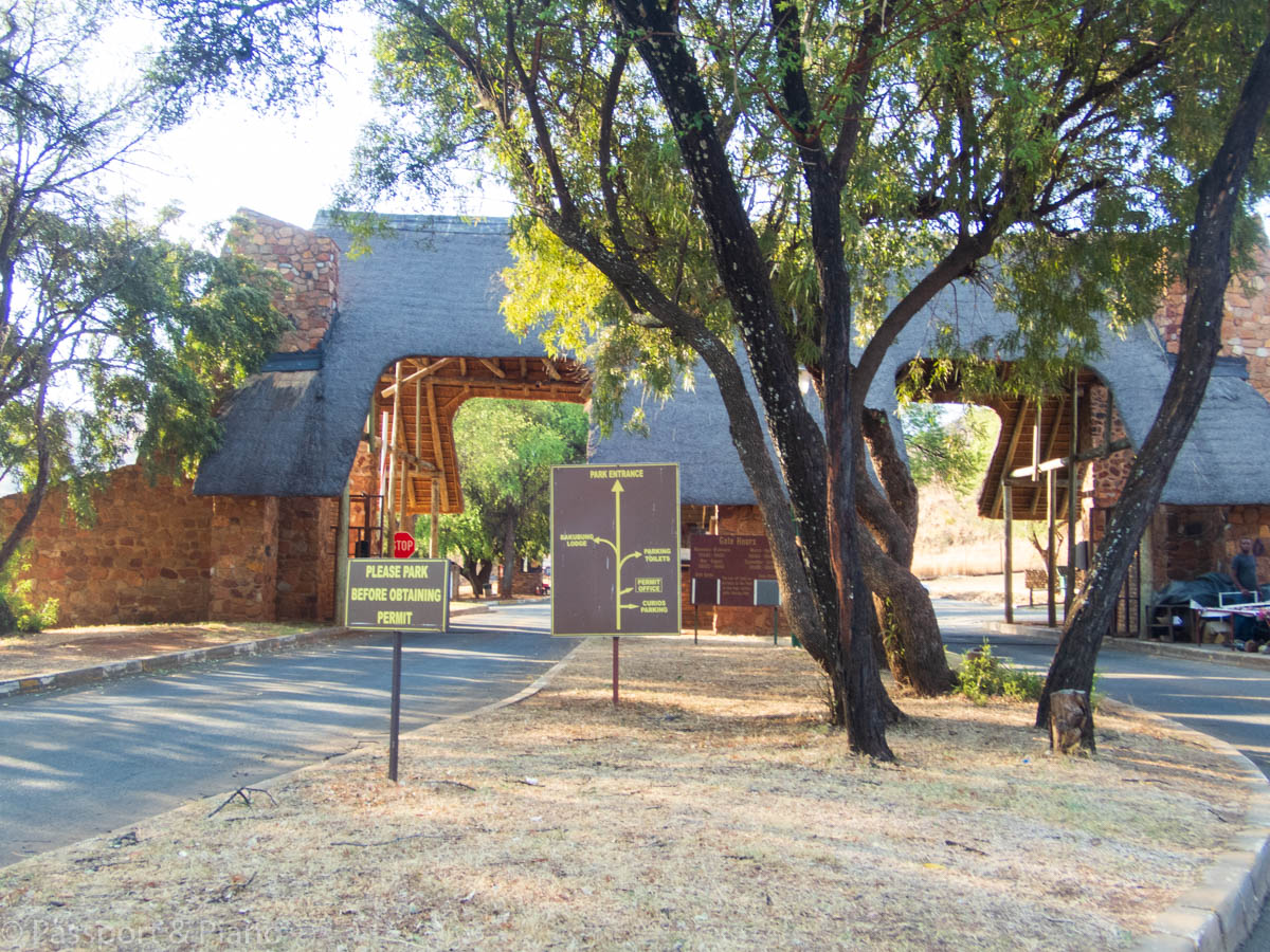 Quanto custa visitar o Pilanesberg - Passport and Piano