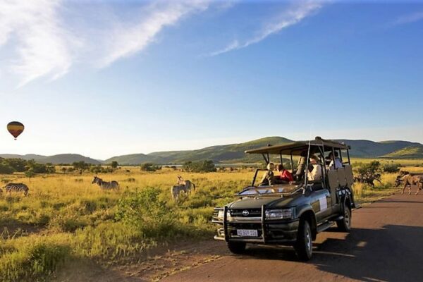 Safari no Pilanesberg - Pilanesberg National Park