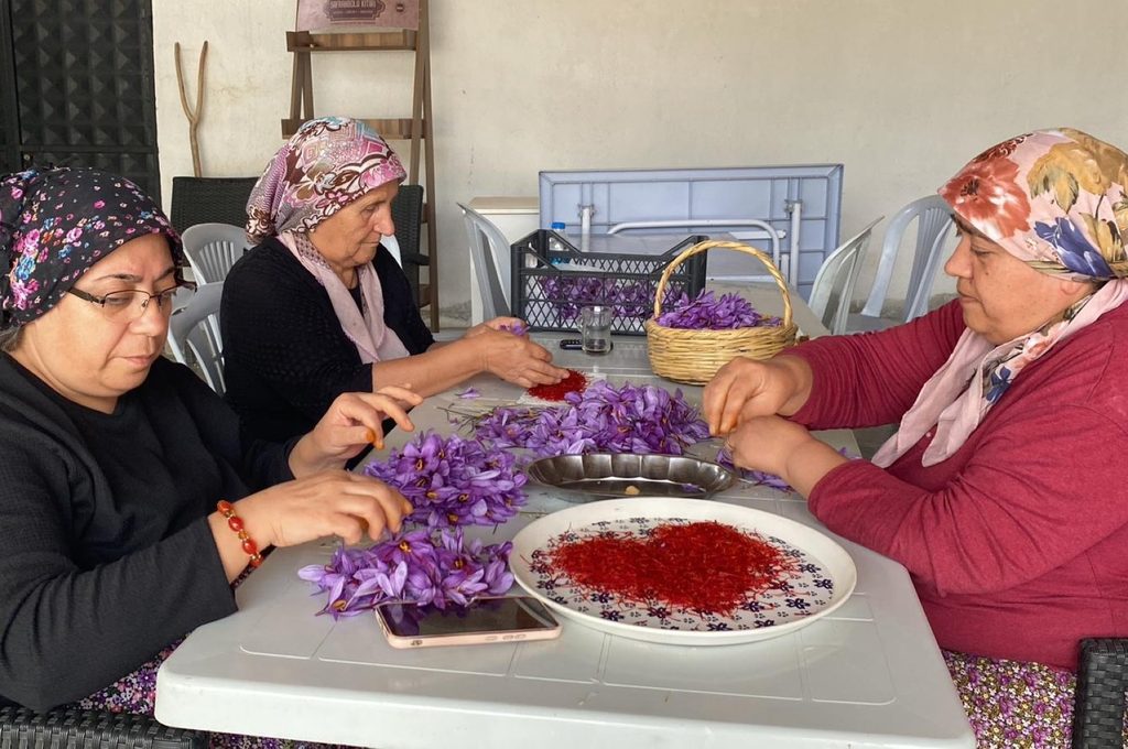 Safranbolu Turquia açafrão - Daily Sabah
