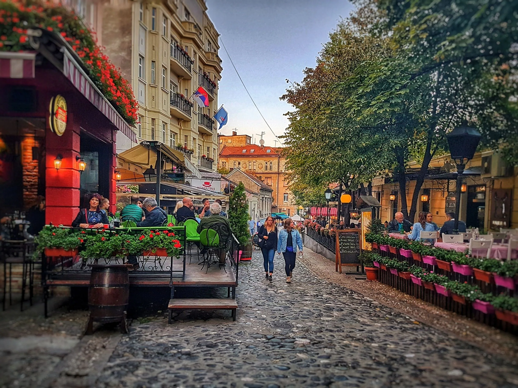 Skadarlija Belgrado Servia - Expedia