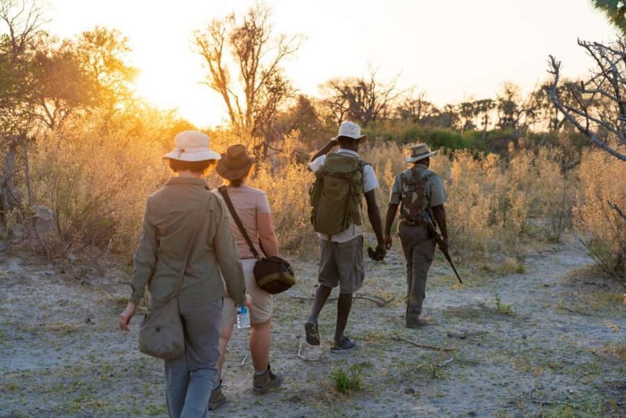 Walking Safari Kruger - The Abroad Guide