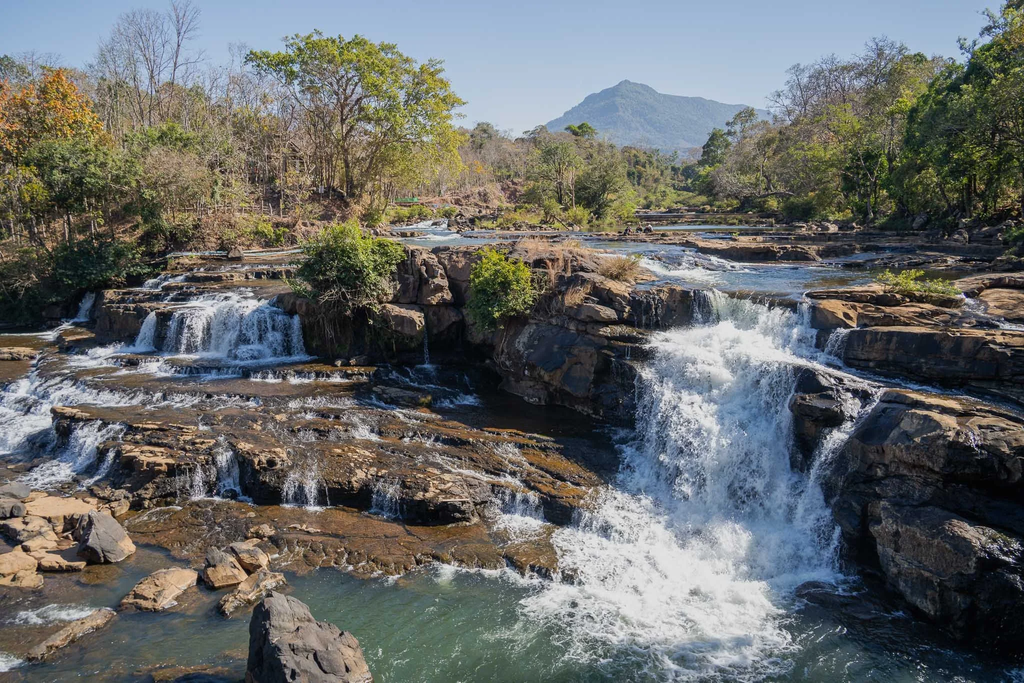 Bollaven Plateau Pakse Laos - Adventures of Jellie
