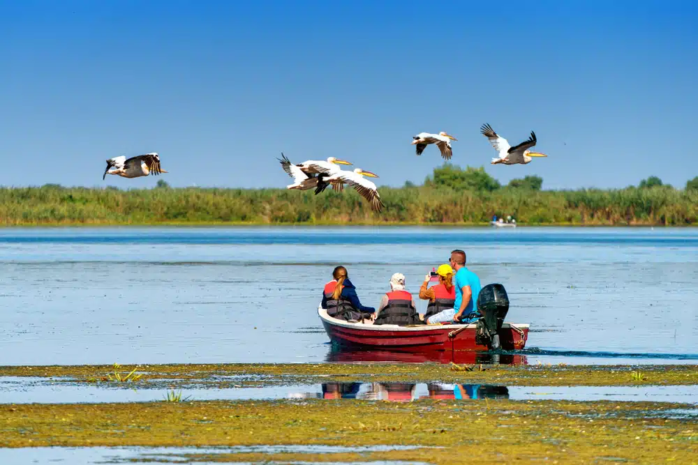 Delta do Danubio Romenia - Green Dolphin Camping