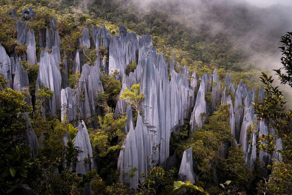 Gunung Mulu National Park Malasia - Global National Parks