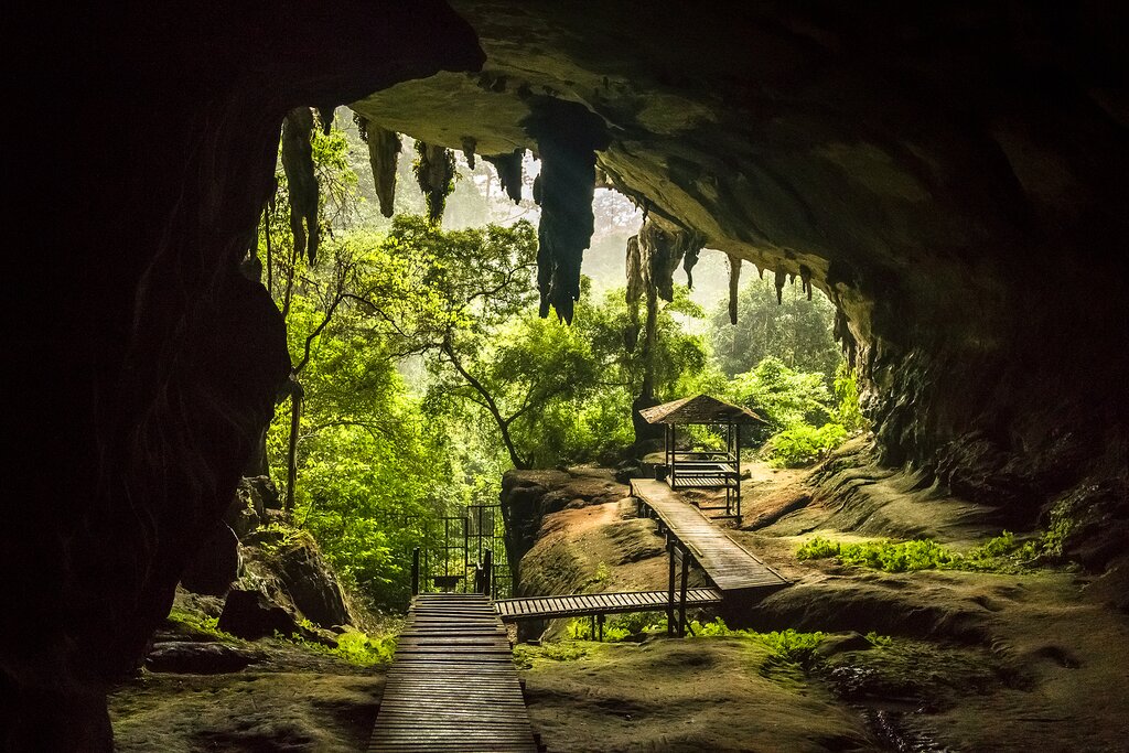 Gunung Mulu National Park Malasia - kimkim