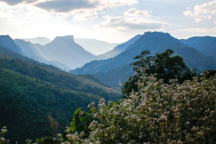 Nam Et-Phou Louey National Park Laos - Asia King Travel