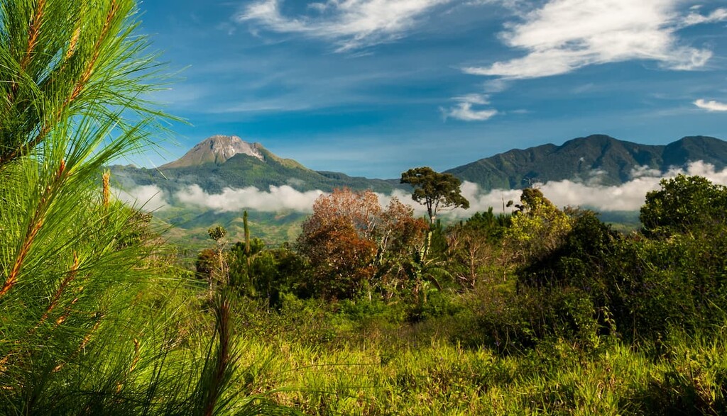 Parque Monte Apo Davao Filipinas - PeakVisor