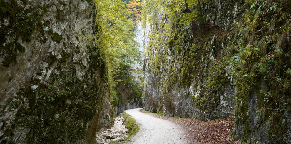 Parque Nacional Piatra Craiului Romenia - Day Trips Brasov