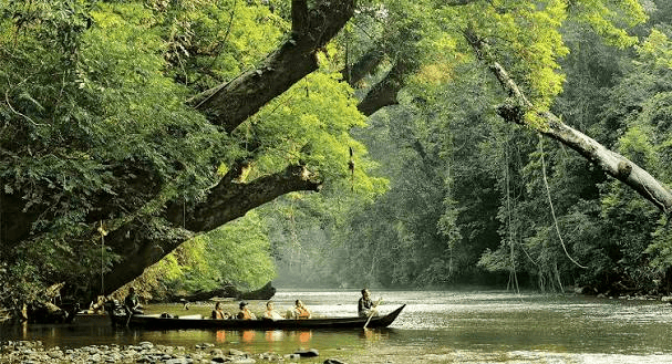 Taman Negara Malasia - Malaysia Travel