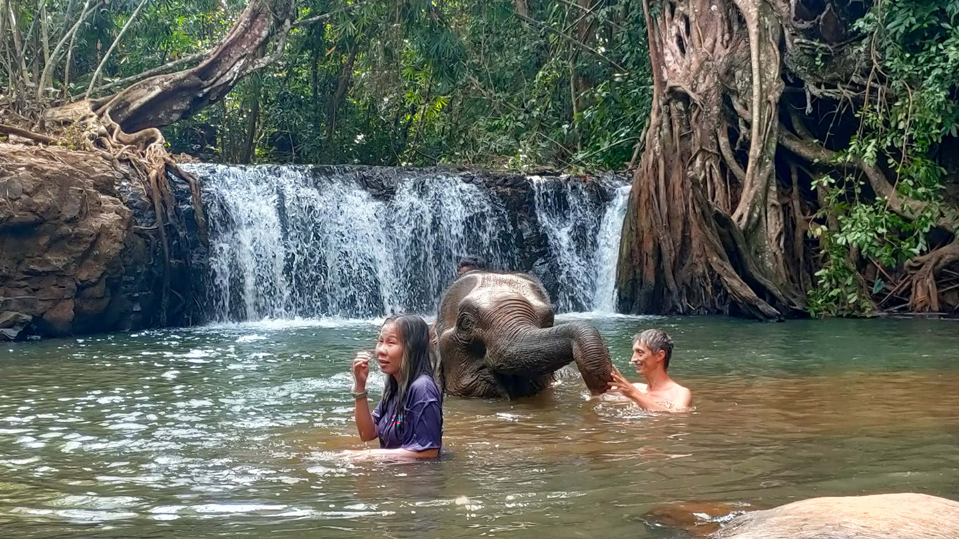 Elefantes Mondulkiri Camboja - Trekking Cambodia