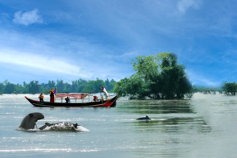 Golfinhos Kratie Camboja - Asia Viva Travel